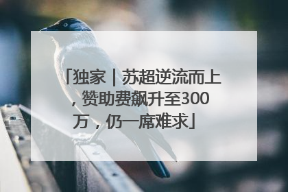 独家｜苏超逆流而上，赞助费飙升至300万，仍一席难求